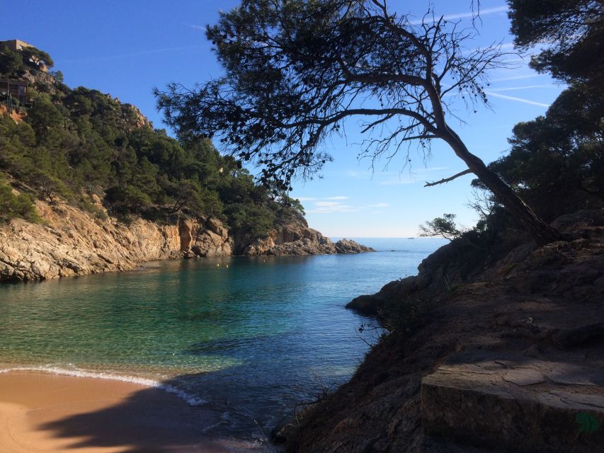 From Barcelona: Costa Brava Hike, Snorkel & Tossa De Mar - Customer Feedback and Ratings