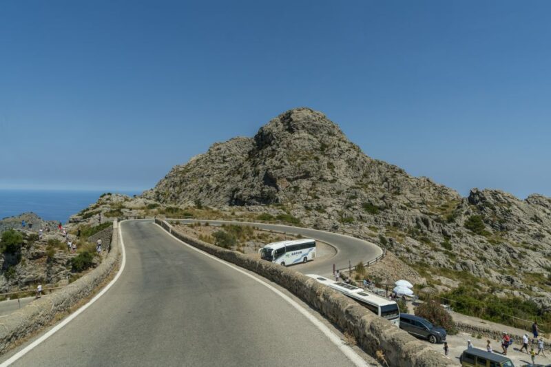Mallorca: Island Tour With Boat, Tram & Train From the South - Customer Feedback