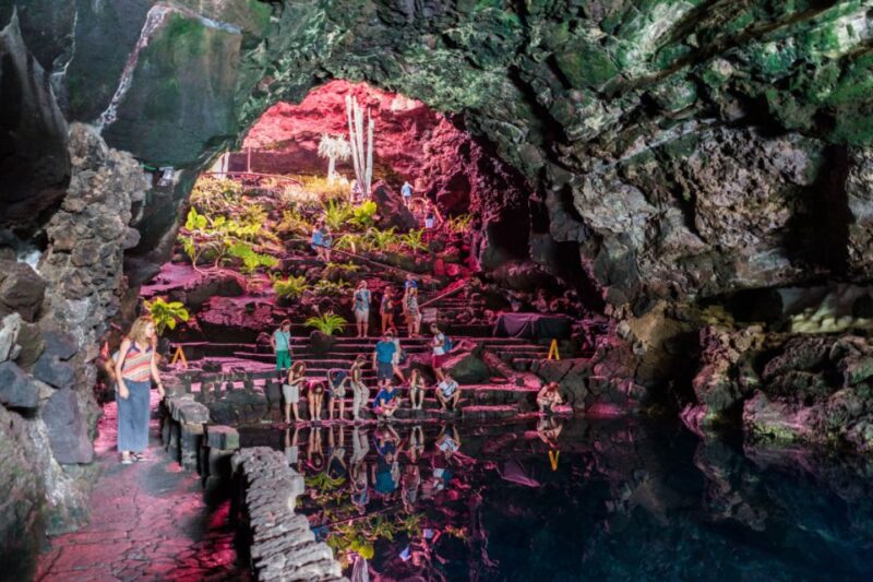 Lanzarote: César Manrique Full-Day Tour - Customer Reviews and Recommendations