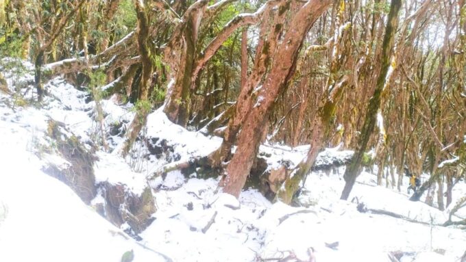 From Kathmandu: 7 Day Mardi Himal Base Camp Premium Trek - Frequently Asked Questions