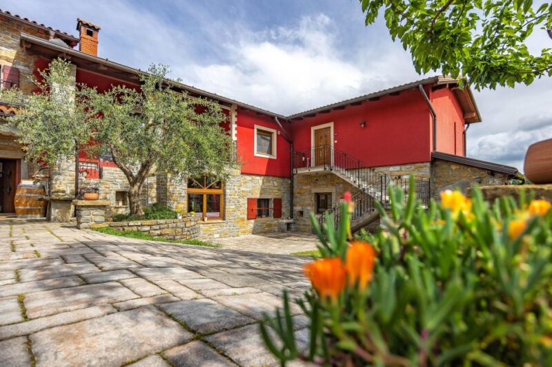Taste the Olive Oil, Aromas & Spreads From Olives - Location and Directions