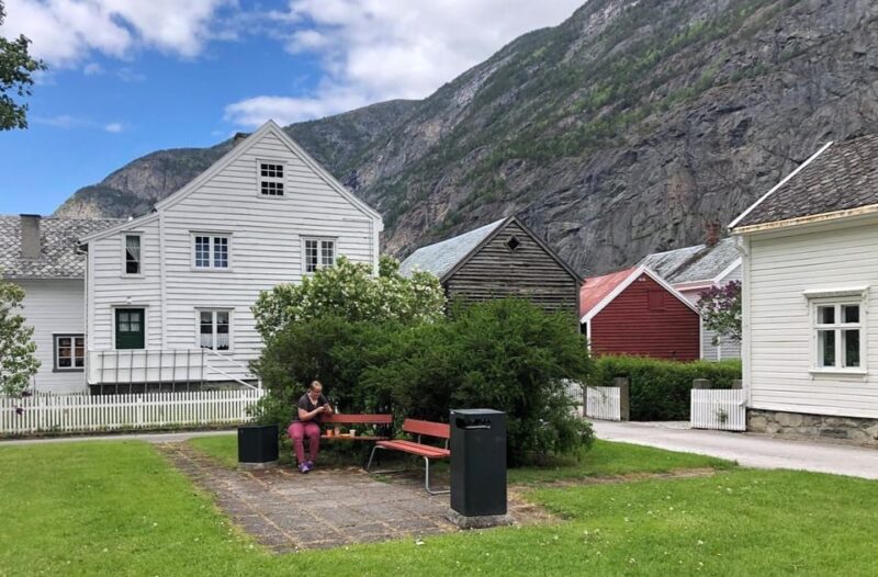In Lærdal: Guided Old Town Tour - Good To Know