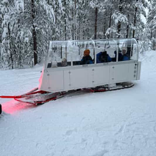 INARI : Northern Lights Safari With Heated Snowmobile Sleigh - Key Points