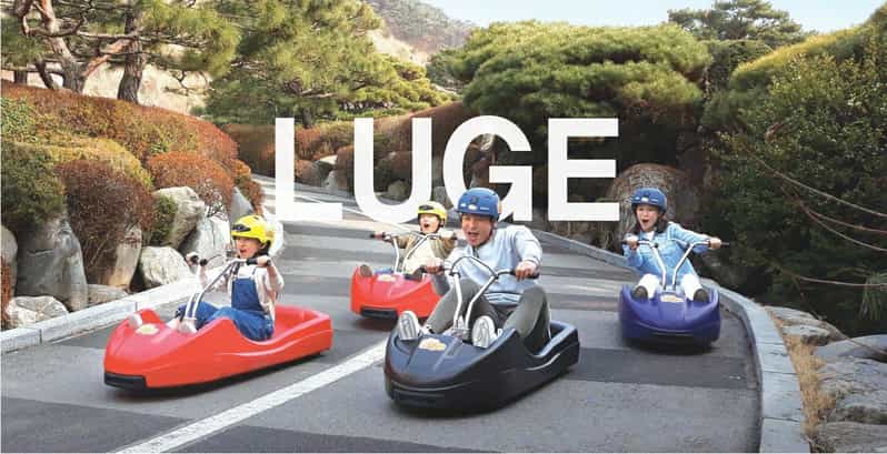 Incheon Private Tour | Luge / Honey Rice Cake / Amoene Cafe - Key Points