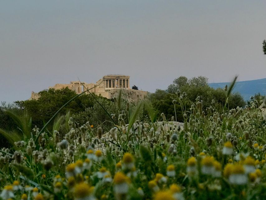 Incredible Athens Walk With Hidden Gems - Key Points