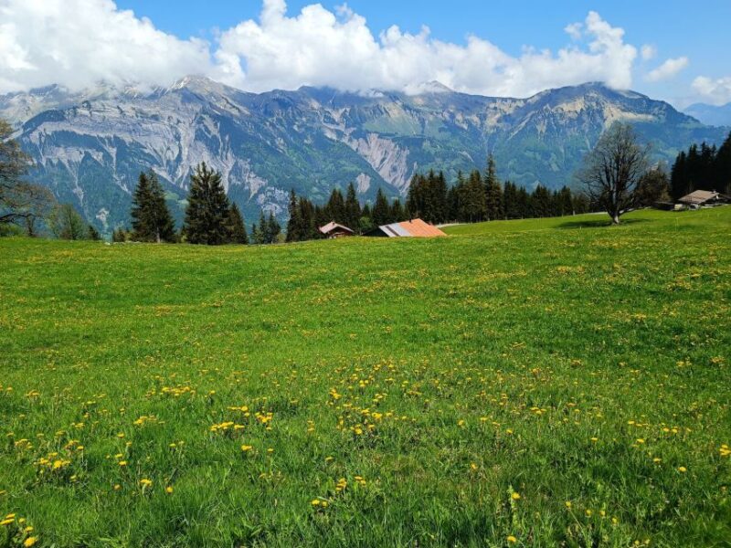 Interlaken: Highlights Tour With a Local by Private Car - Good To Know