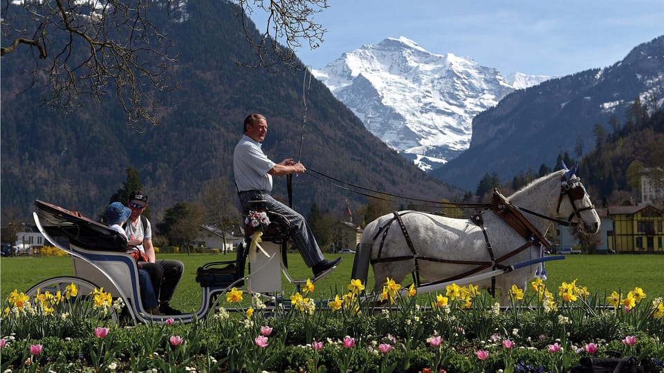 Interlaken: Highlights Tour With Horse Carriage - Good To Know