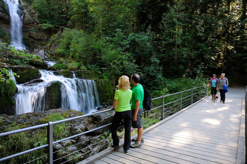 Interlaken & Jungfrau: Custom-Tailored Tour With Local Guide - Good To Know