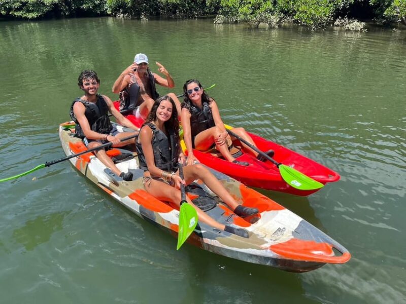 Iriomote: Mangrove Canoe and Yubujima Sightseeing Tour! - Overview of the Tour