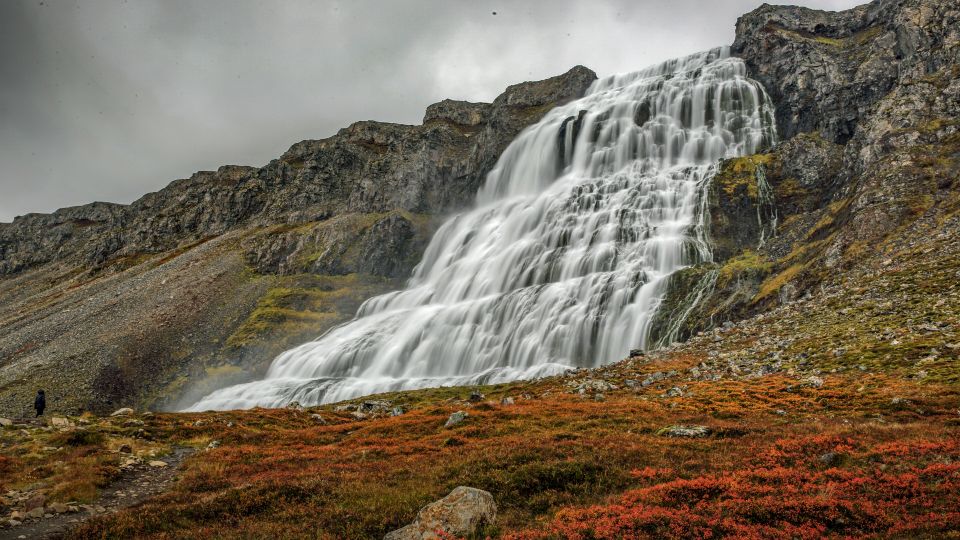 Isafjordur: Dynjandi Waterfall Tour and Icelandic Farm Visit - Key Points