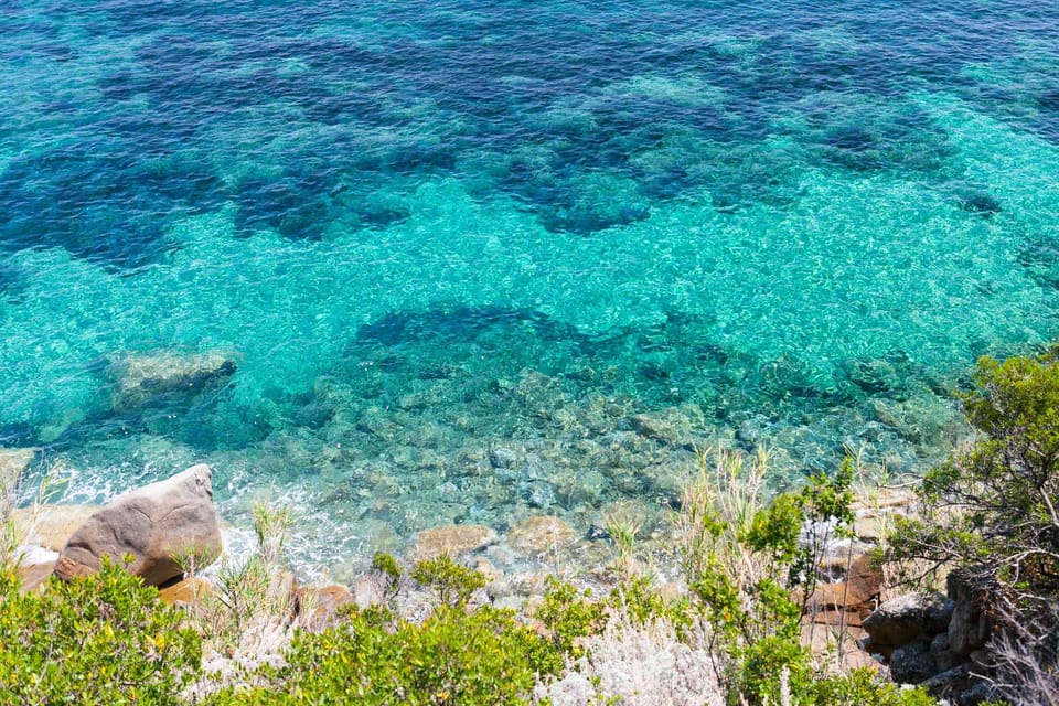 Isola Del Giglio: Boat Round Trip With Snorkeling - Key Points