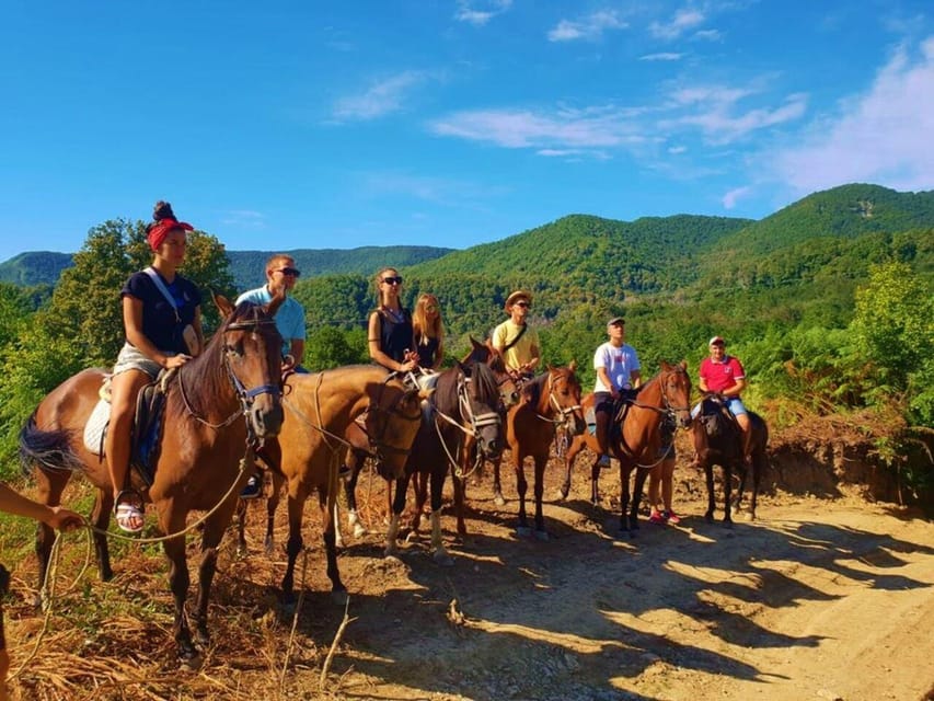 Istanbul: 1 Hours Horse Riding With Trained Horses - Key Points