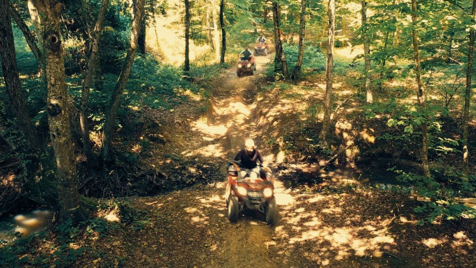 Istanbul: Belgrad Forest ATV Tour With Ziplining Option - Key Points