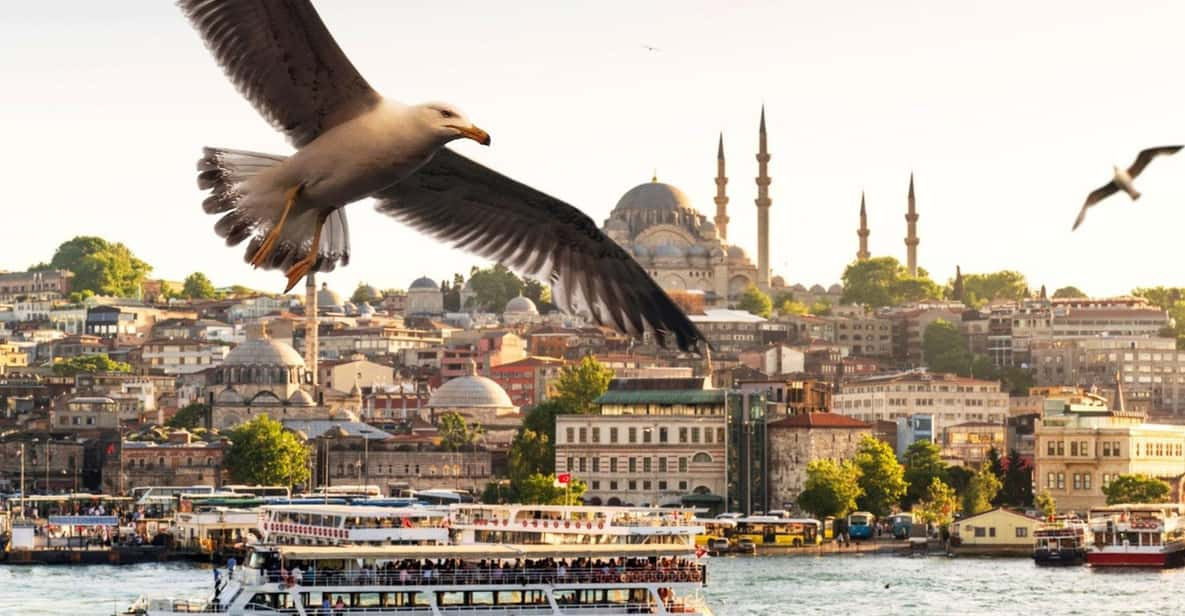 Istanbul: Bosphorus Morning/Sunset Cruise With Optional Stop - Cruise Overview and Options