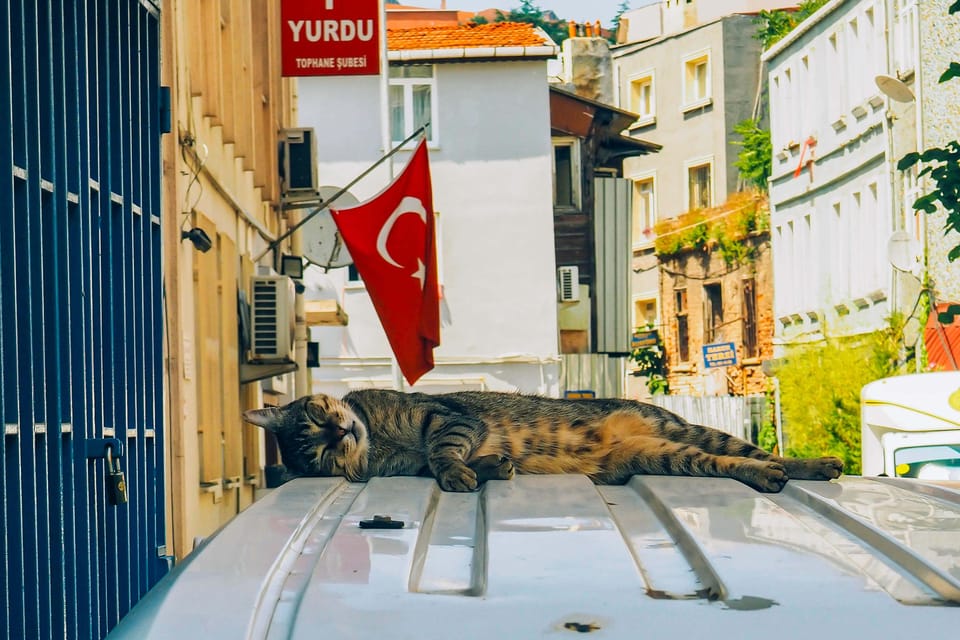 Istanbul: City Tour With Audio Guide in Your Smartphone - Key Points