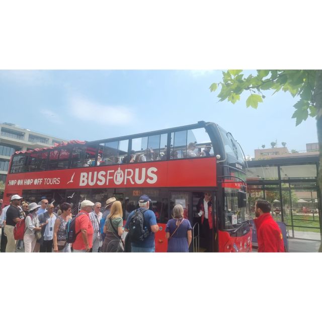 Istanbul: Hop-On Hop-Off Sightseeing Bus With Audio Guide - Overview of the Tour