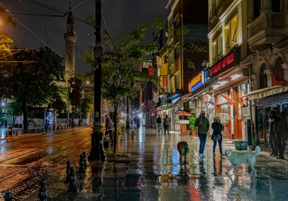 Istanbul: Istanbul Night Walking Tour - Key Points