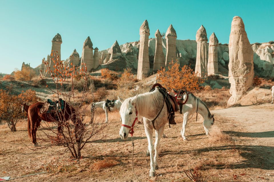 Istanbul to Cappadocia All Inclusive Private Day Tour - Key Points