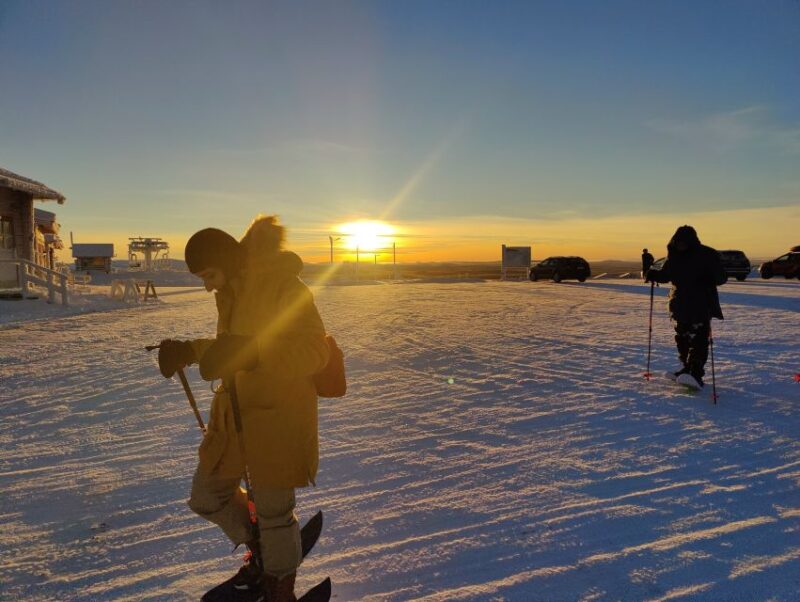 Ivalo: Aurora Adventure Holiday in Northern Lapland - Key Points