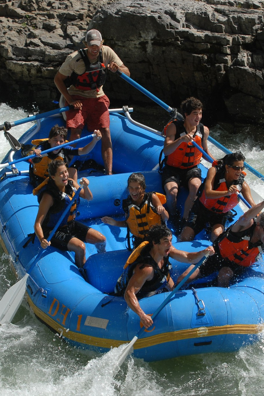 Jackson: 4-Hour Small Boat Snake River Whitewater Rafting - Key Points