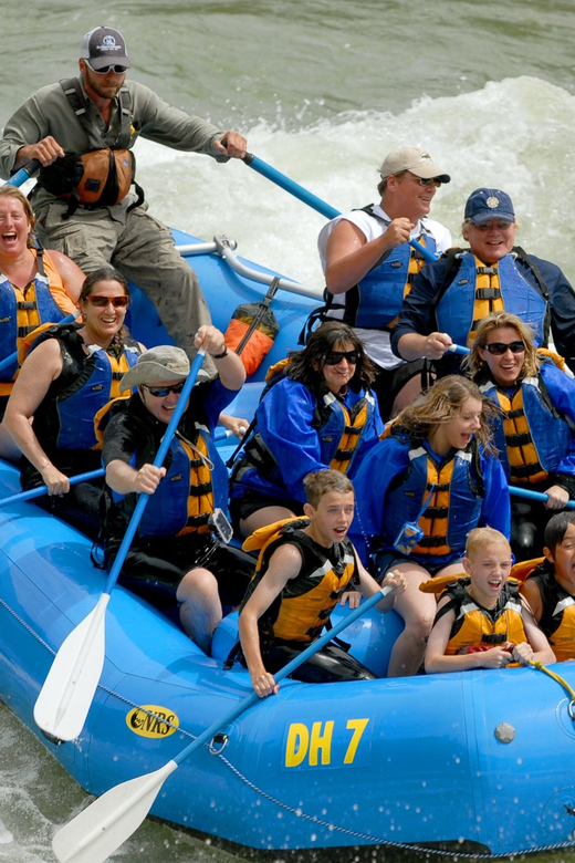 Jackson Hole: 4-Hour Snake River Whitewater Rafting - Key Points