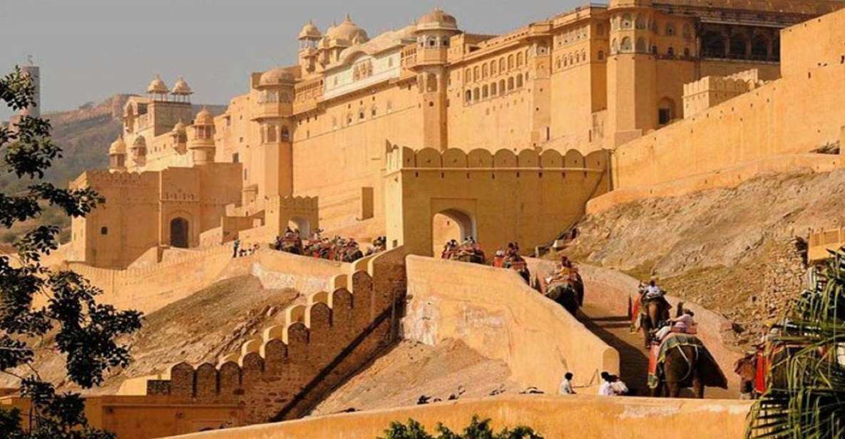 Jaipur: Full-Day Private City Guided Tour - Key Points