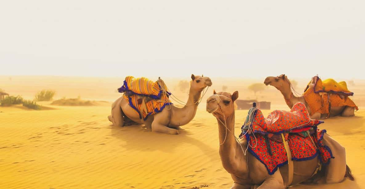 Jaisalmer Desert Camp With Rajasthan Cultural Dance 2N/3D - Good To Know