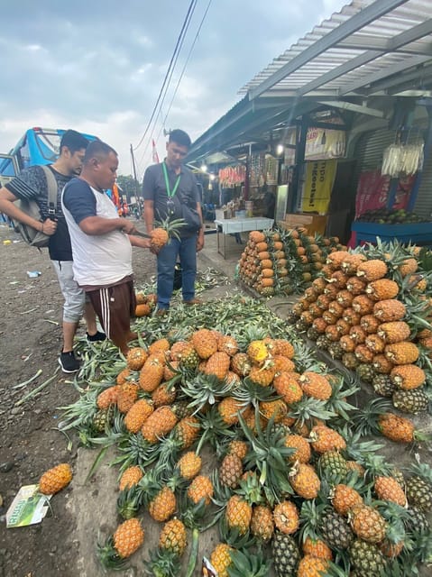 Jakarta: Volcano, Tea/Rice Fields, Hot Spring, Local Food - Key Points