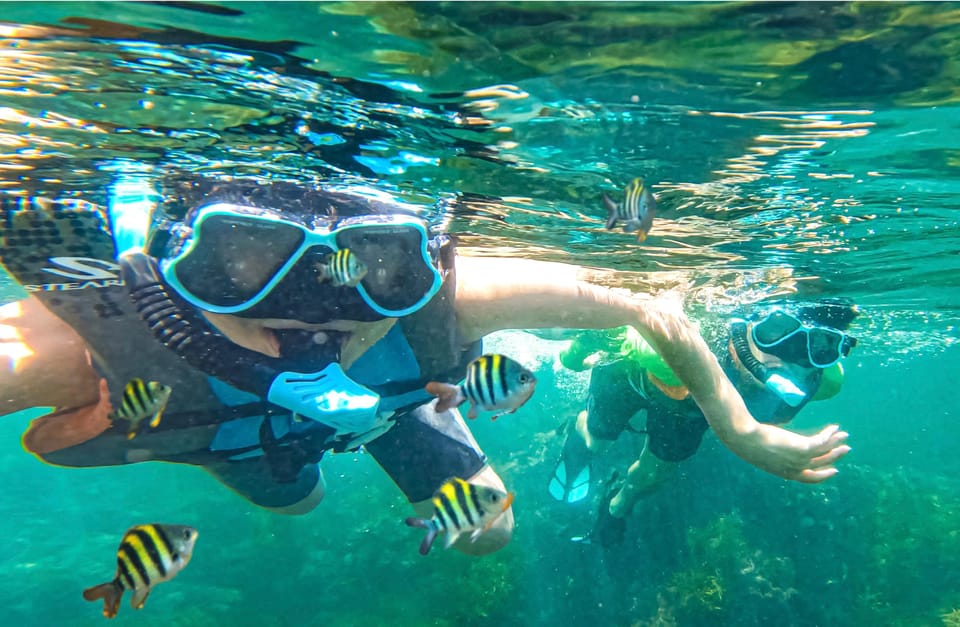 Japan: Snorkeling Adventure on a Boat - Overview of the Adventure