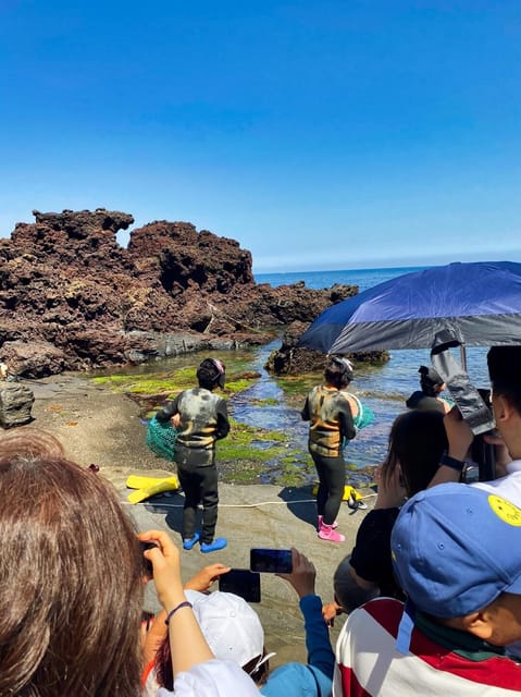 Jeju: Customized Shore Excursions for up to 7 People - Itinerary Customization