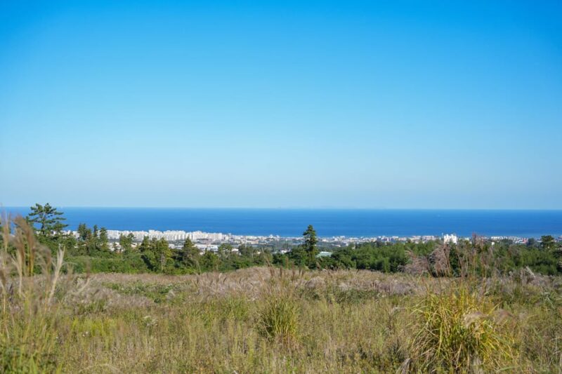 Jeju Essence Tour: Culture, Peaks & Caves - Key Points