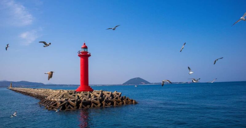 Jeju UNESCO Attractions Full-Day Tour With Daily Chauffeur - Key Points