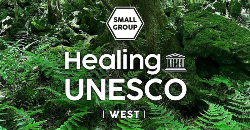 Jeju West: Healing UNESCO Small Group Day Tour - Key Points