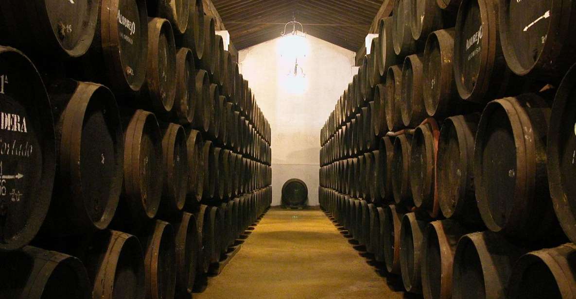 Jerez: Álvaro Domecq Wineries Guided Tour With Wine Tasting - Key Points