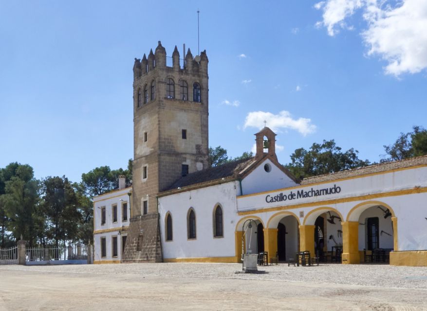 Jerez: Bodegas Fundador Guided Tour With Tasting Session - Tour Overview and Details