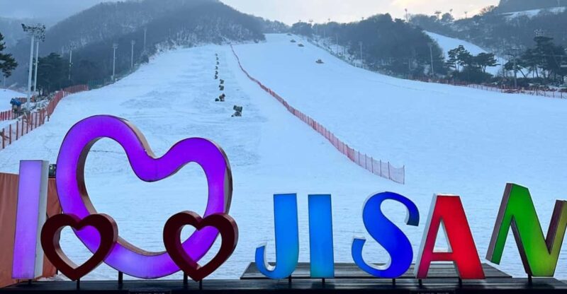 Jisan Forest Resort_ Snow Sled Day Tour - Key Points