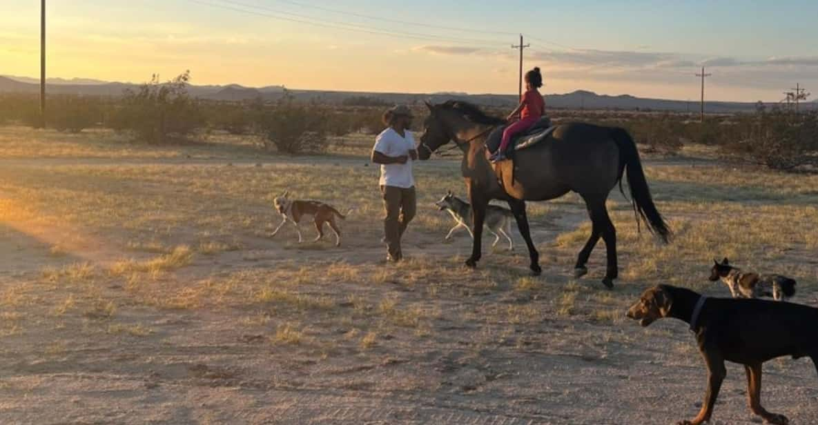 Joshua Tree: Pony Ride for Children - Key Points