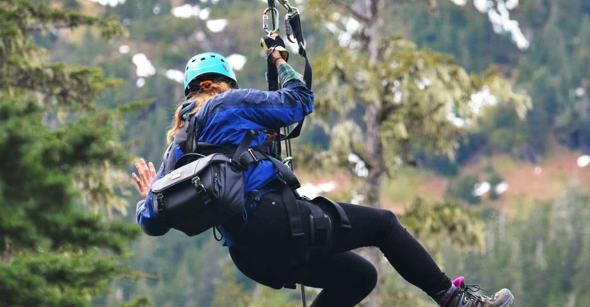 Juneau: Alpine Zipline Adventure - Key Points