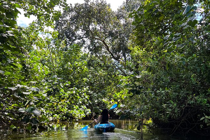 Kahana Bay Kayak and Stand Up Paddle Board Rental River to Ocean - Key Points