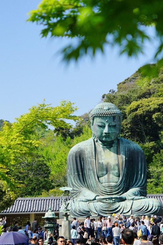 Kamakura Half Day Walking Tour With Local Experience - Itinerary Highlights