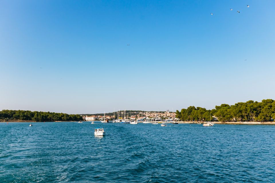 Kamenjak/Medulin: Sunset Dolphin Boat Tour With Dinner - Good To Know