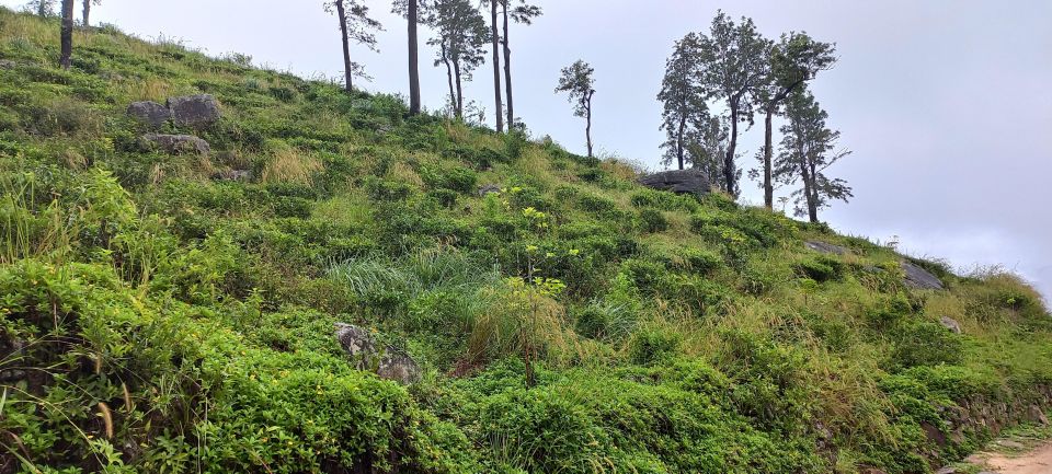 Kandy to Nuwaraeliya 3D Trekking Pekoe Trails Stage 1-2-&-3 - Good To Know