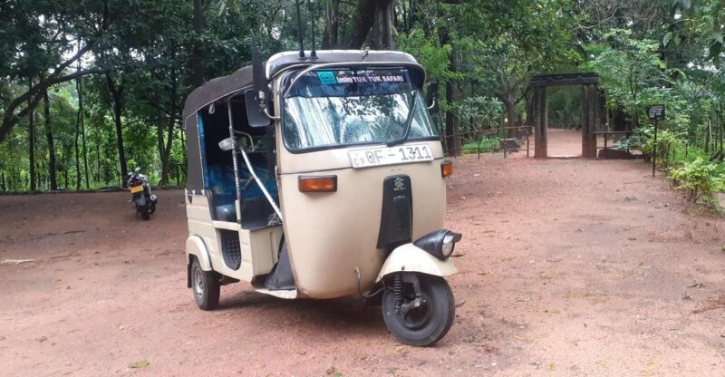 Kandy to Sigiriya Day Tour - Good To Know