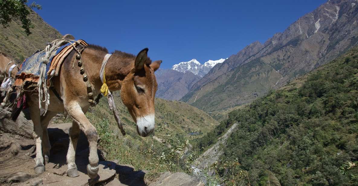 Kathmandu: 15-Day Mountainous Manaslu Circuit Trek - Key Points