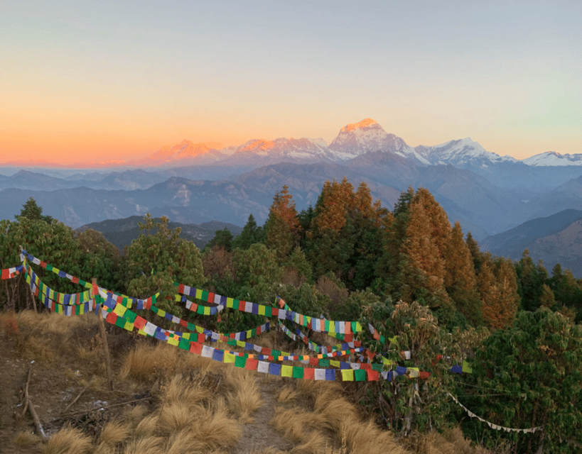 Kathmandu: 7 Days Ghorepani Poonhill & Ghandruk Private Trek - Accommodation Options