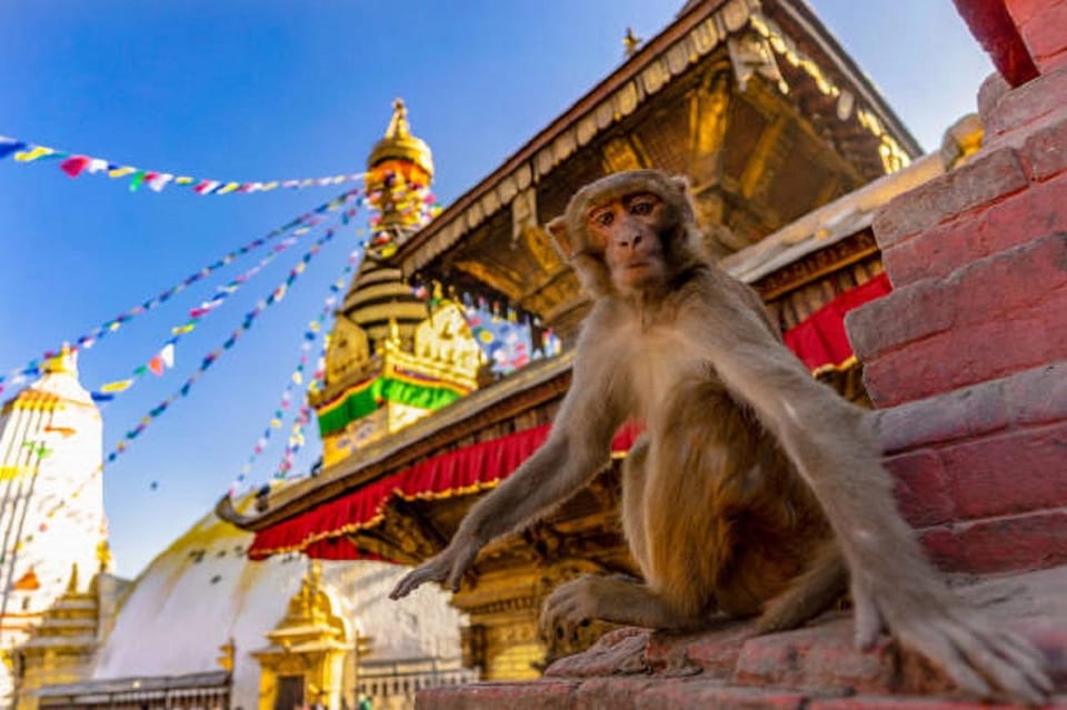 Kathmandu: Chandragiri Cable Car & Monkey Temple Day Tour - Key Points