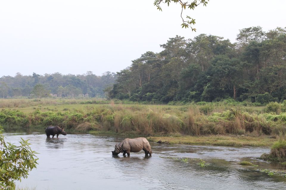 Kathmandu Chitwan Pokhara Tour - Key Points