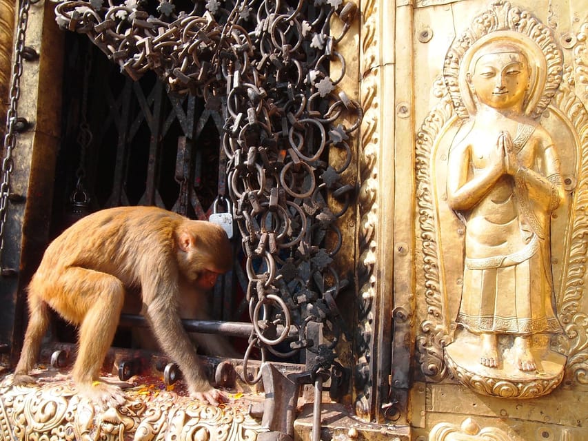 Kathmandu Walking Tour: Swayambhunath & Chhauni Museum - Key Points