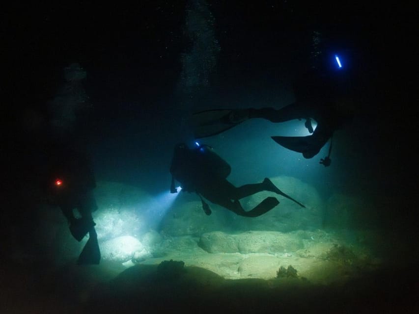 Kauai: Twilight/Night Shore Dive Experience - Overview of the Experience