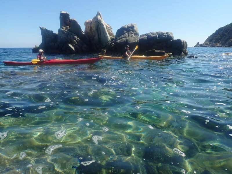 Kayak Tour of Capo Figari, Golfo Aranci (3 Hours) - Key Points